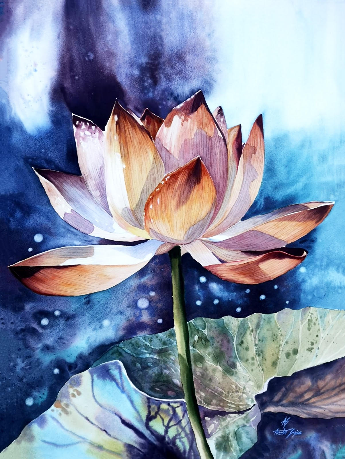 Lotus